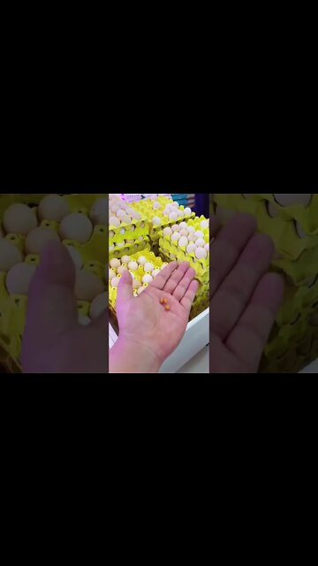 Most Amazing and trending video||relaxing your mind||trendig videos|| #shorts #trending #viral #live