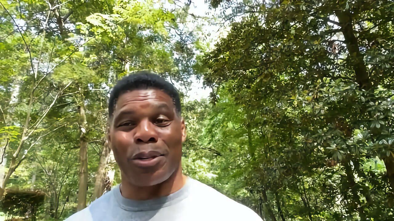 Herschel Walker: If Need Be Speaker Pelosi, I Will Take You to Taiwan Myself