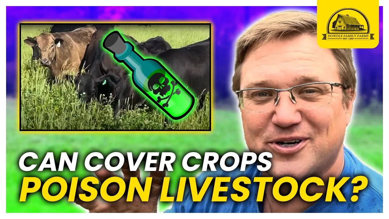 The Risks of Poisoning Livestock with Cover Crops