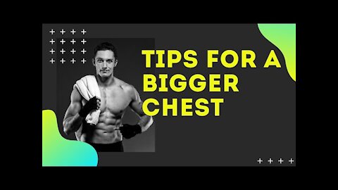 DingDon! Health and Fitness | Tips For a Bigger Chest