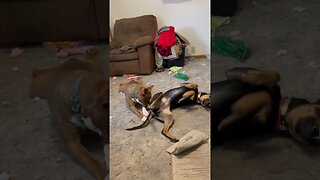 Making a mess.