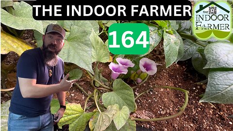 The Indoor Farmer ep 164, What Is Bolting? Join Me To Find Out, Let's Grow