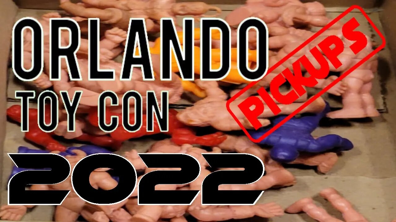 Orlando Toy Con 2022 with pickups