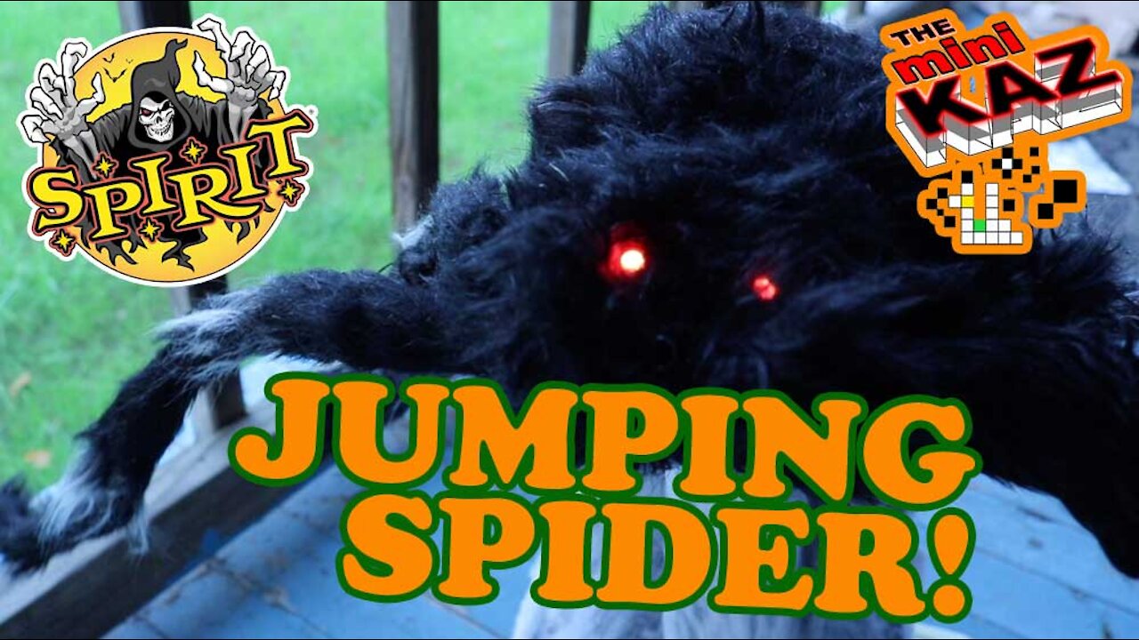 Jumping Spider from Spirit Halloween