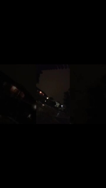 tree breaks slowly #viral viral #short #nature #tree #trees #wildlife #storm #hurricane #crazy