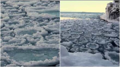 Pancakes di ghiaccio si formano in un lago americano