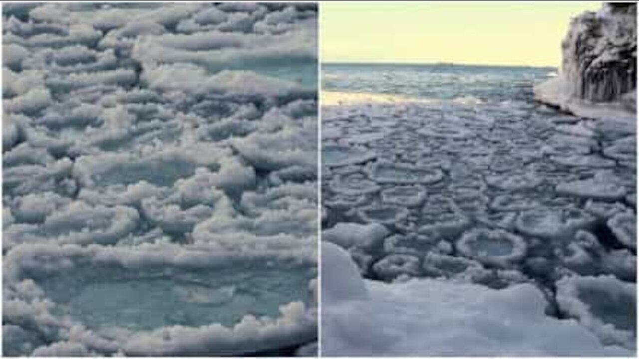 Pancakes di ghiaccio si formano in un lago americano