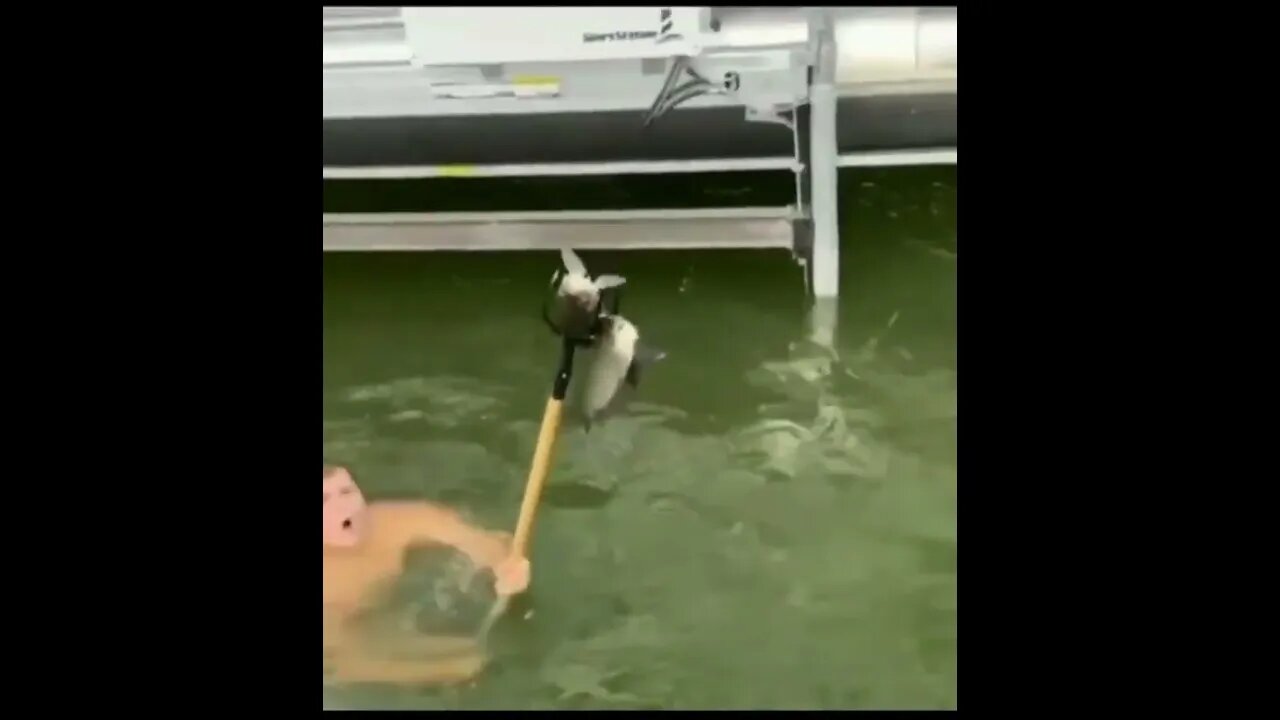 JUMPING Spear Fishing With a Pitchfork