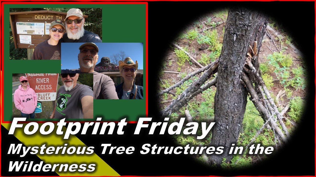 Unveiling Bigfoots Architectural Secrets: Decoding Mysterious Tree Structures in the Wilderness