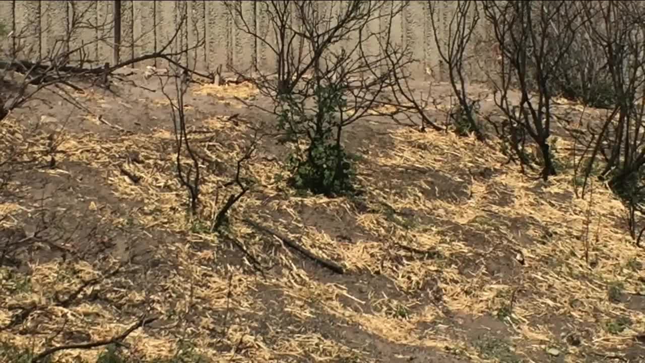 CDOT spreading mulch on part of Glenwood Canyon burn area