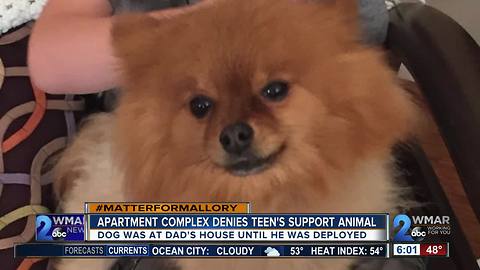 Apartment complex denies boy's support animal