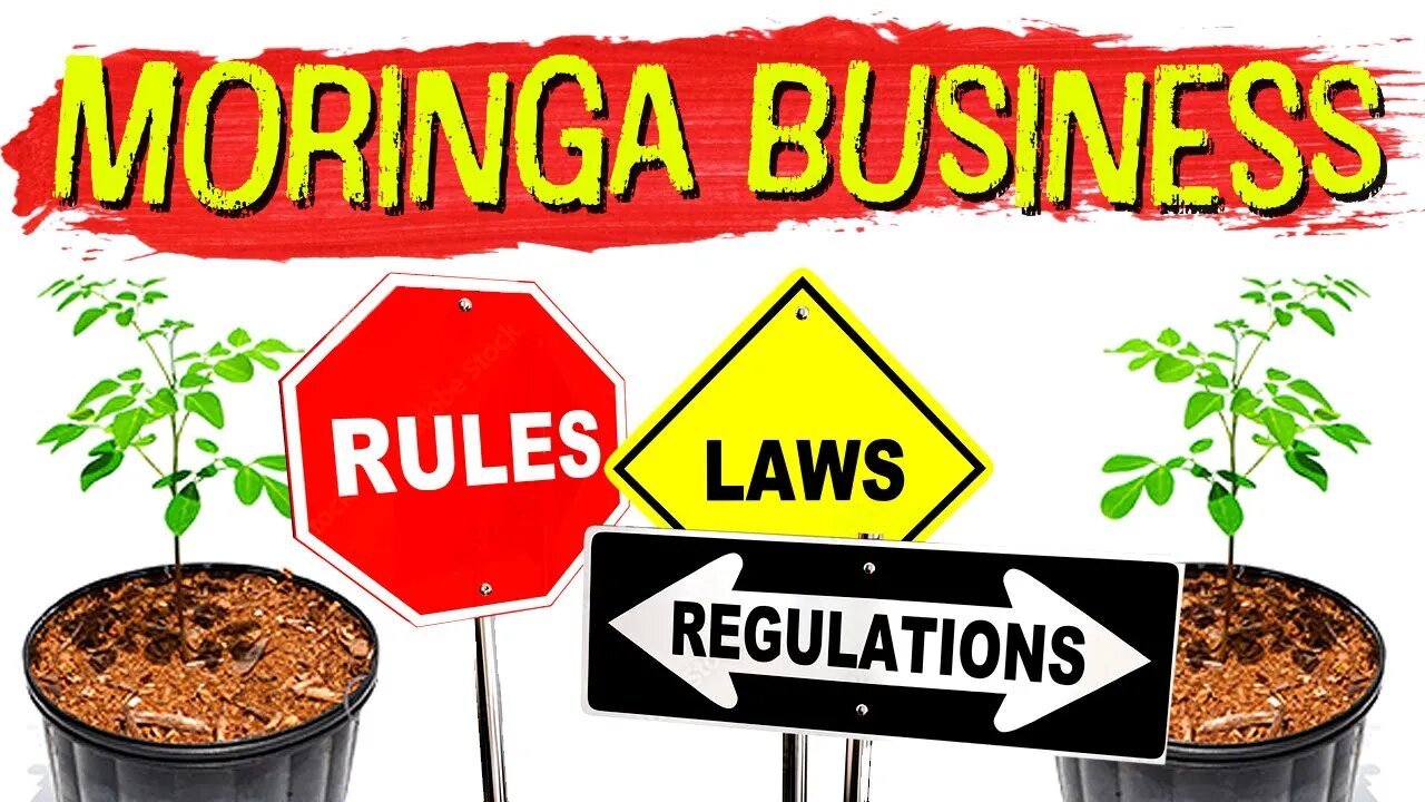 How To Start Your Moringa Business