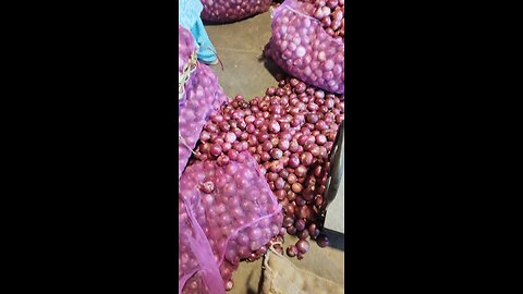 onion price increased