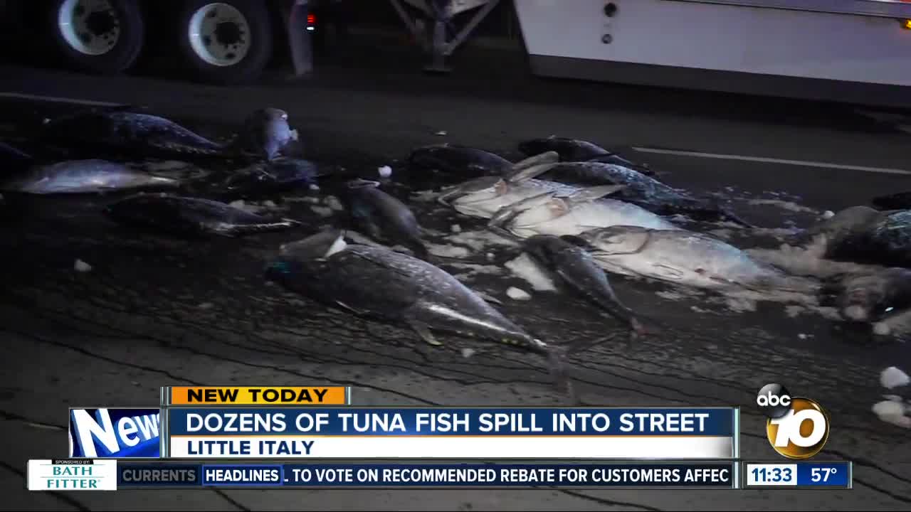 Tuna spills onto Little Italy street