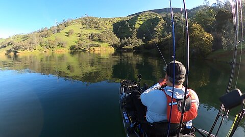 Lake Berryessa spotted bass!