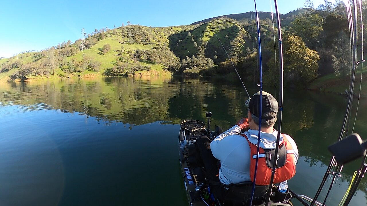 Lake Berryessa spotted bass!