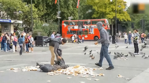 This guy Breaks all the rules with the birds.