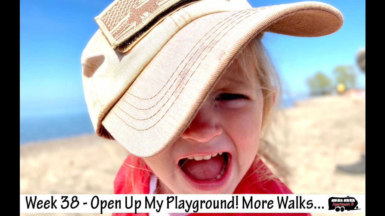 Week 38 - Many More Walks, Blythe says "Open up MY Playground!!"