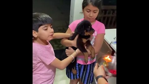Indian Family Welcomes Dog