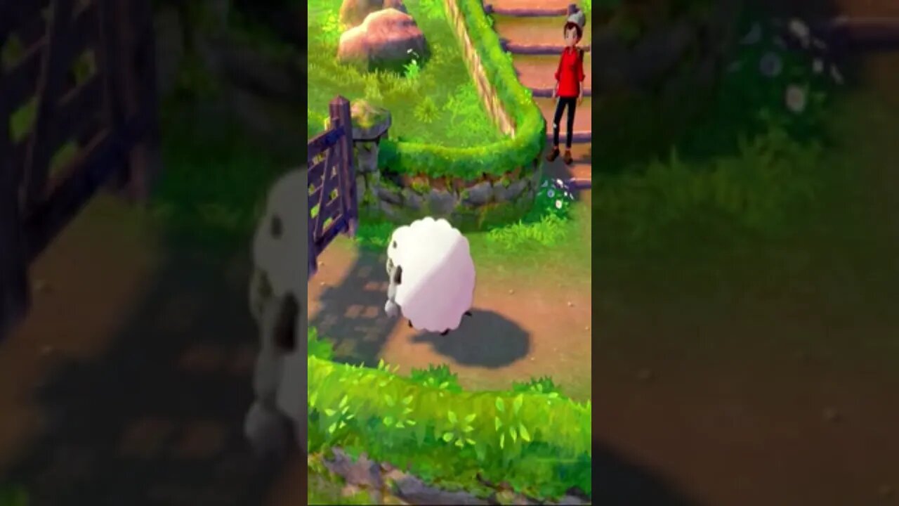 Pokémon Sword - Dumb Sheep (Wooloo)