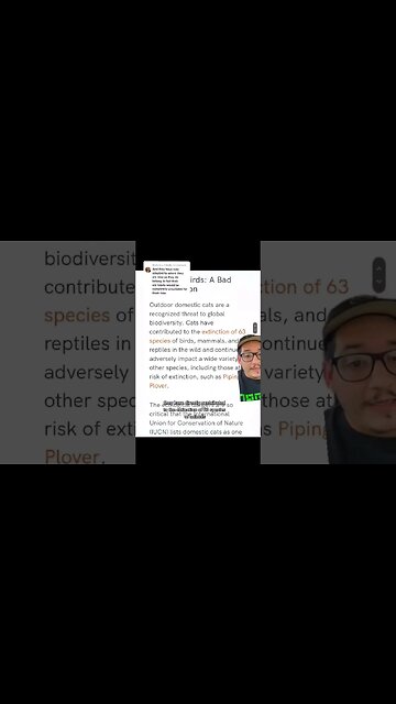 Domestic cats need to be indoors