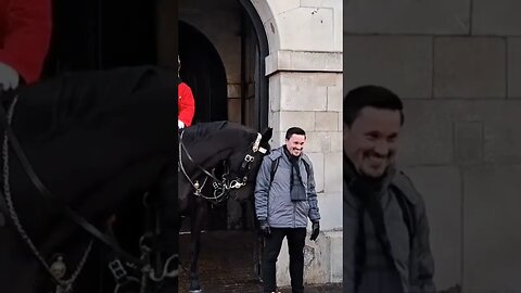 Friendly horse wants attention #horseguardsparade