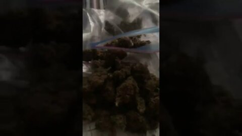 Nicole, roll me one 😂😂✌🏼