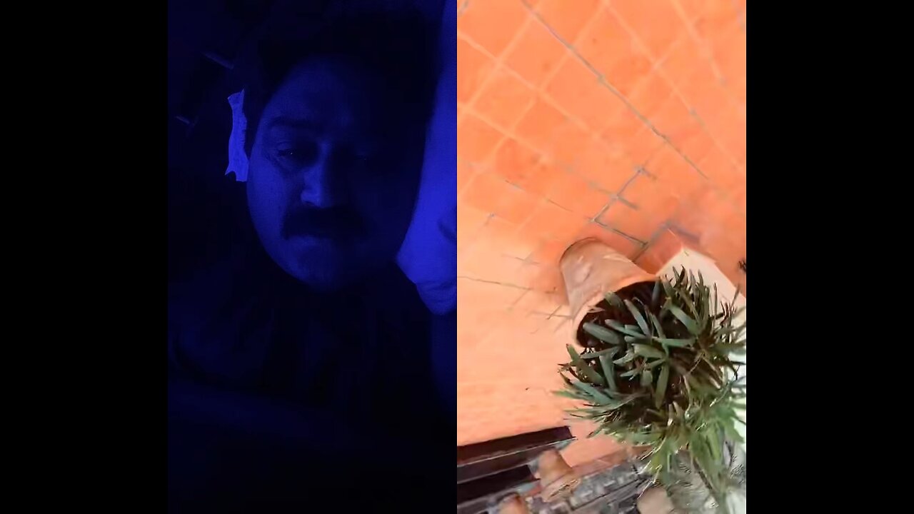 tiktok s