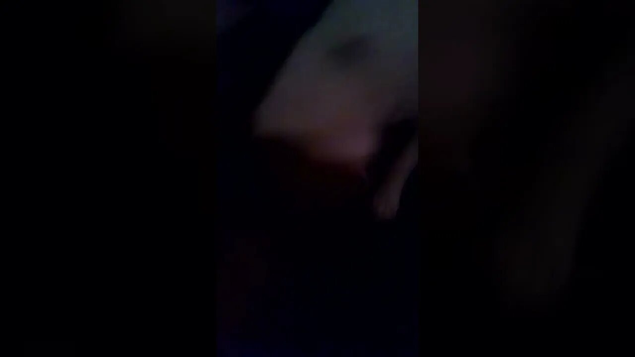 Eddie is playing with me😍