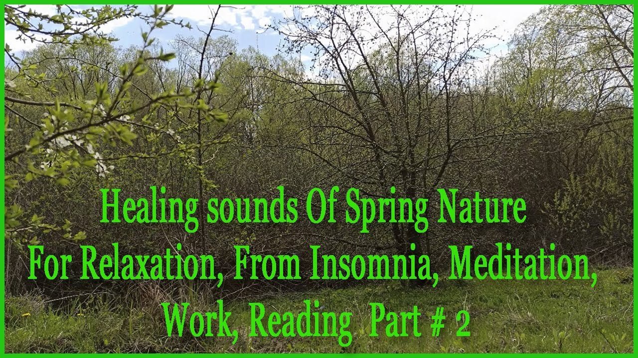 Healing sounds Of Spring Nature For Relaxation, From Insomnia, Meditation, Work, Reading Part # 2