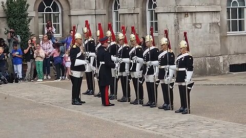 9 guards no horse's inspection 4oclock punishment #horseguardsparade