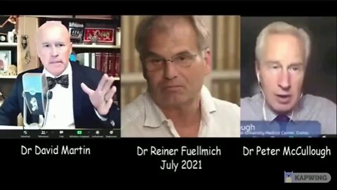 Dr Reiner Fuellmich (Is he REALLY suing the WHO?)