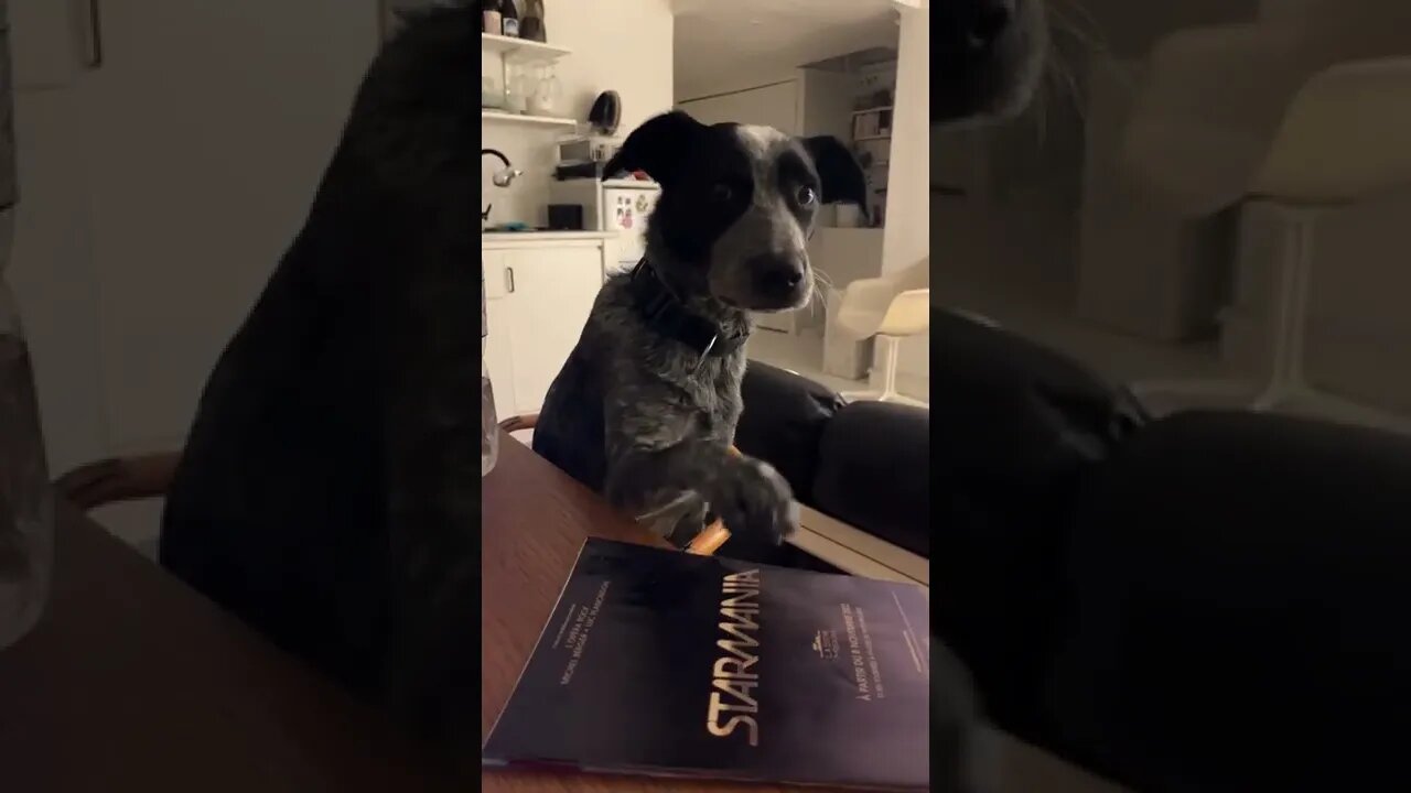 It’s the eye contact that gets me