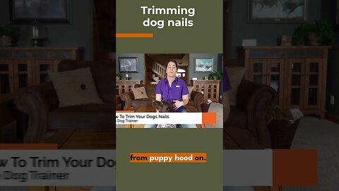 Tips For Trimming Dog Nails