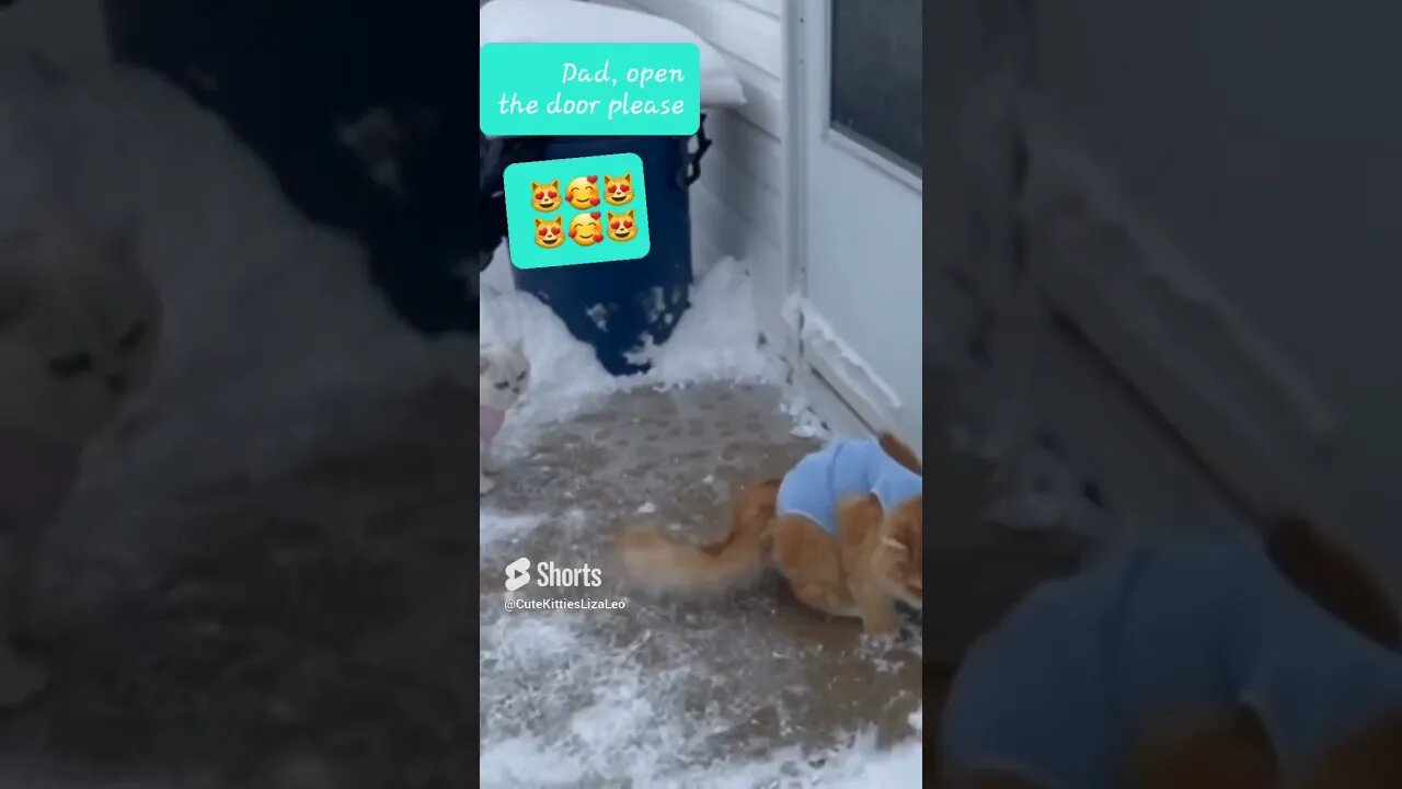 #cute Leo 🥰🥰🥰