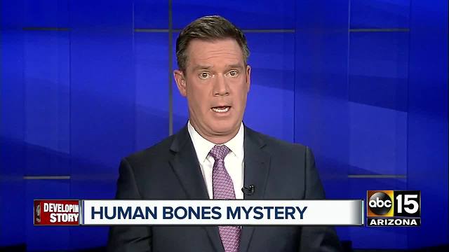 Human bones discovered in Buckeye farm field