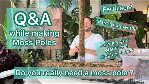 Q&A while making Moss Poles - Fertiliser, Pest Treatment, Moss Poles etc