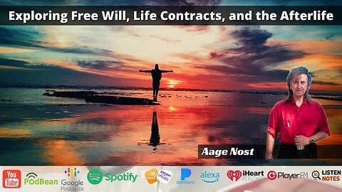 Exploring Free Will, Life Contracts, and the Afterlife