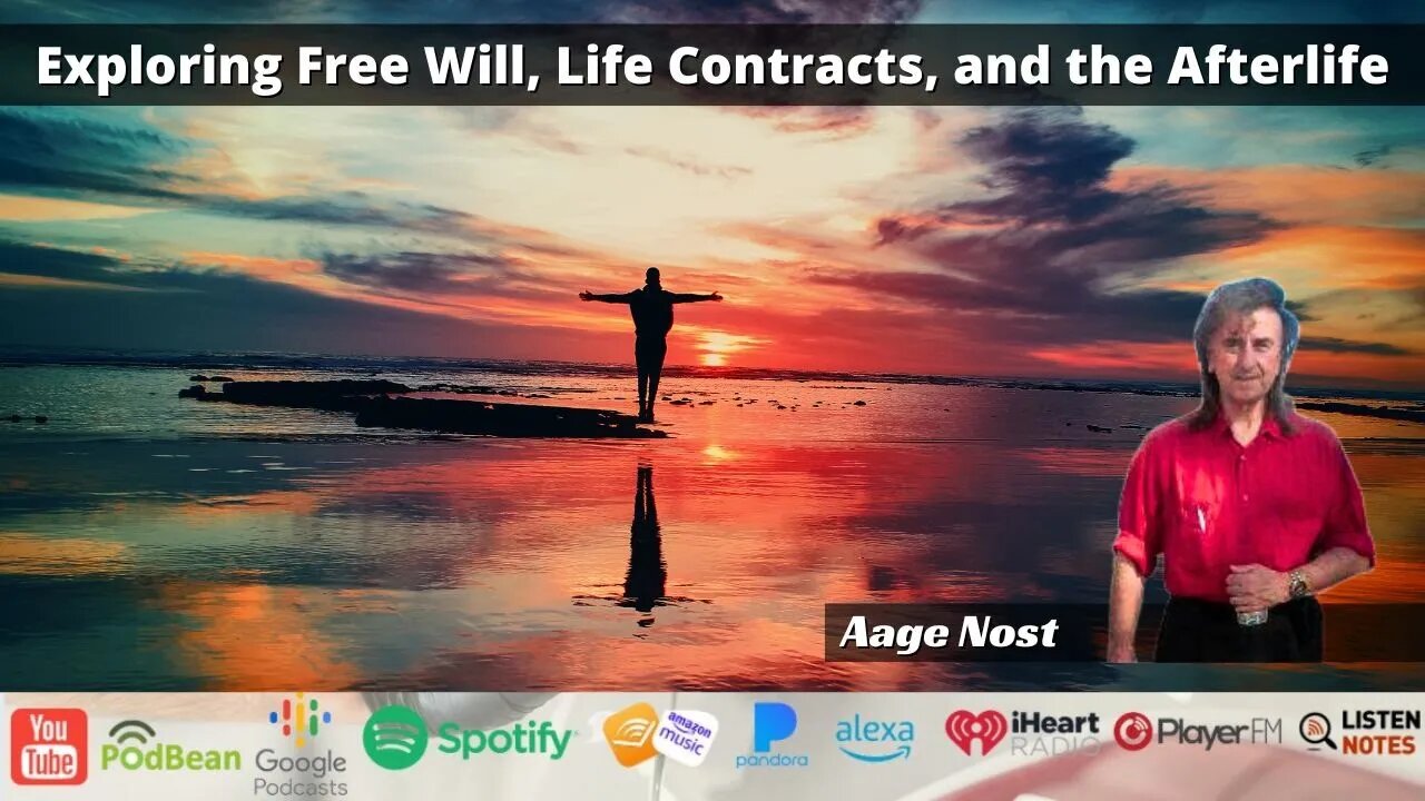 Exploring Free Will, Life Contracts, and the Afterlife