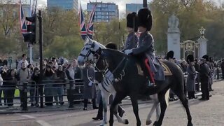 South African state visit military horses #buckinghampalace