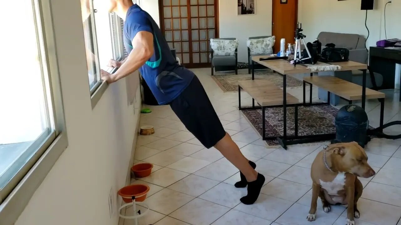 Exercício em casa: Flexão de braços na Janela | Exercise at home: Push-ups at the Window