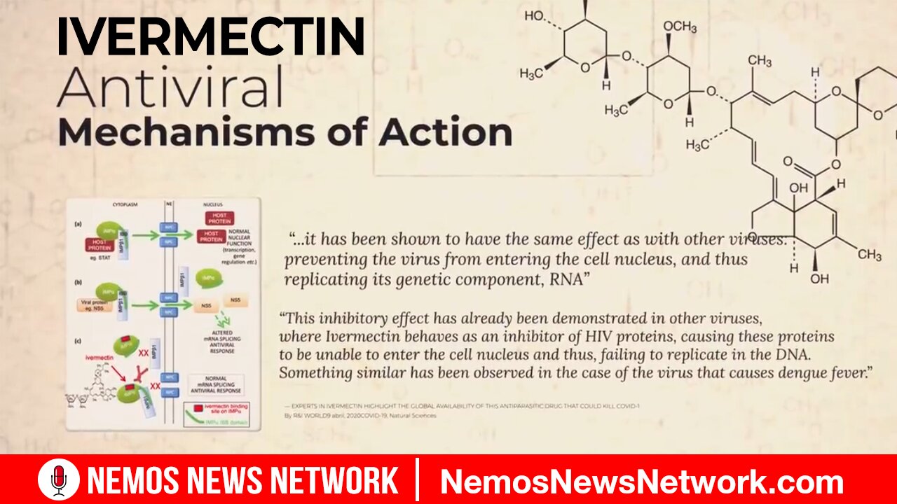 The Ivermectin Story - (Mirror)