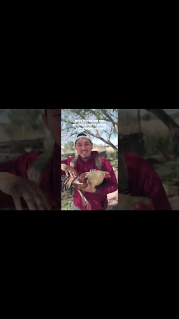 Comment your projects down below 🔥🔥🔥