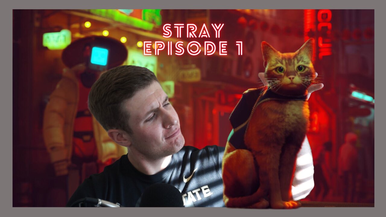 CATS DONT DESERVE THIS! Stray Walkthrough Ep 1