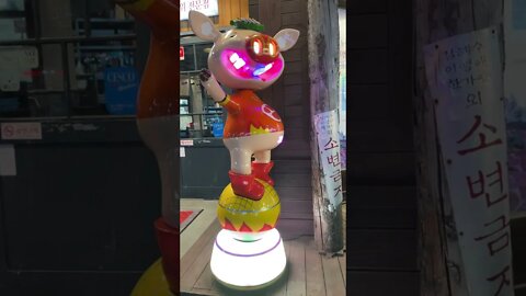 한우홍보 로봇