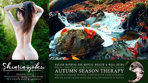 Shinrin-Yoku Bio Music Therapy | Nature Asmr 032 ▶️