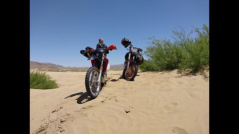 CATCHING SNAKES ON DIRT BIKES!!