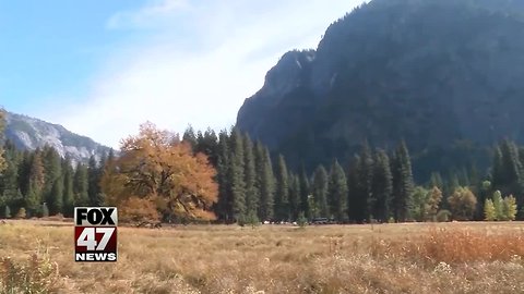 Hiker dies after fall at Yosemite National Park's Half Dome trail