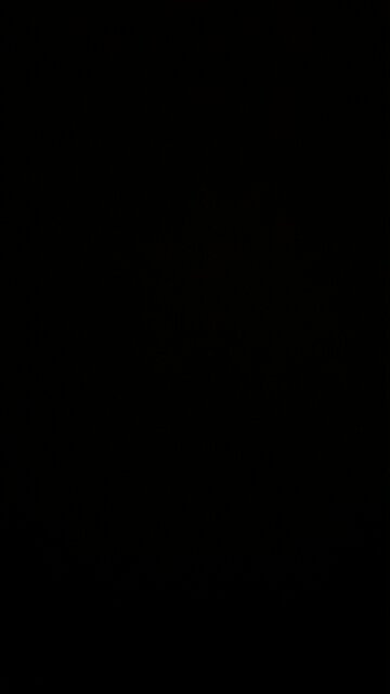 Cream of mushroom soup