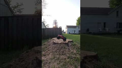 Stump Jumping Short